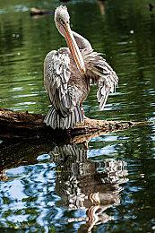 《无尽之剑2》被民间移植到PC平台 重焕生机！